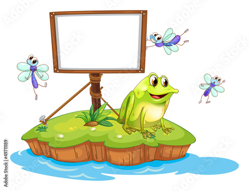 A frog and flies in an island