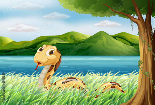 A snake at the grass