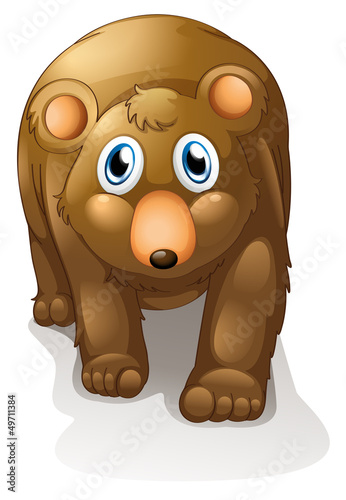 A brown bear