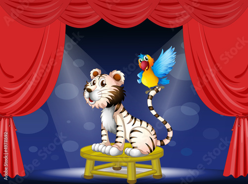 A parrot standing at the tail of a tiger