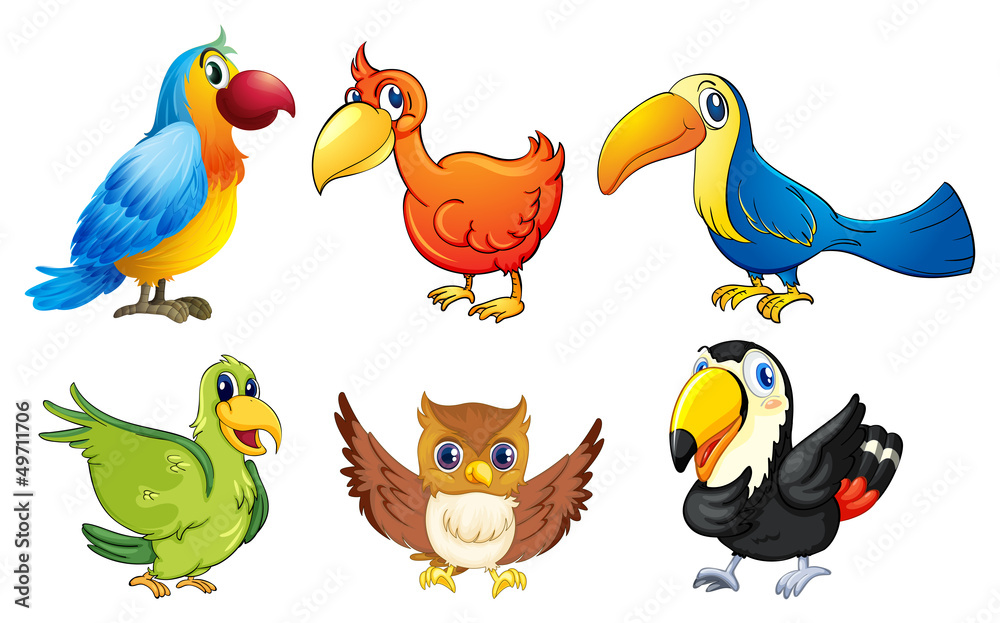 Obraz premium Six flying birds