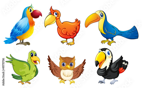 Six flying birds