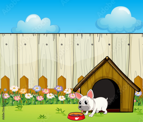 A small dog eating