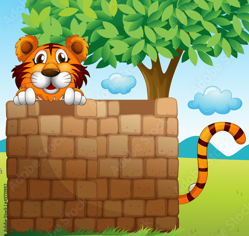 A  tiger hiding on a pile of bricks