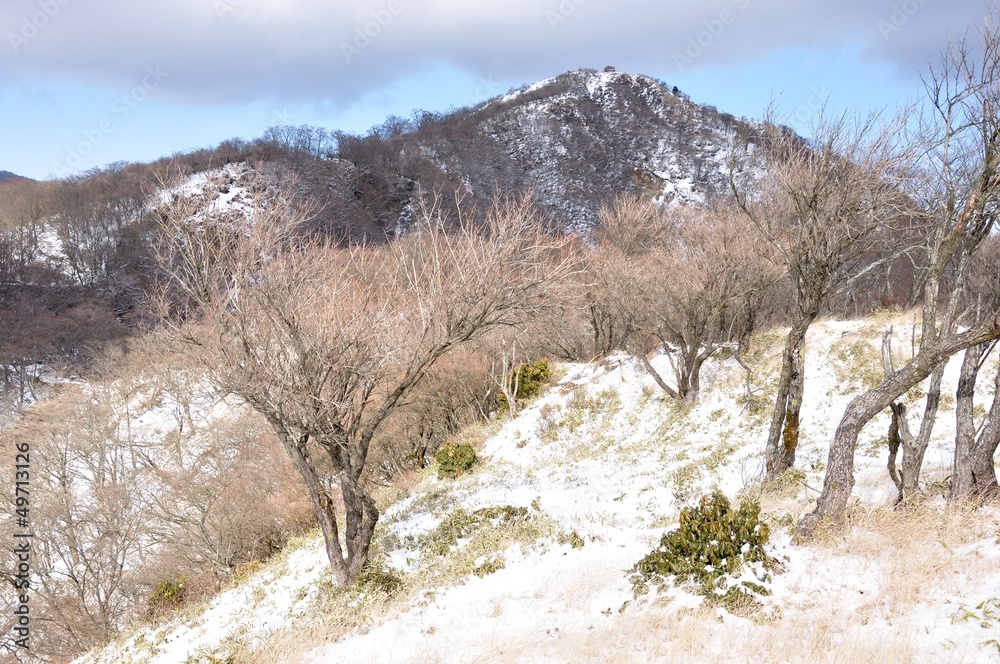 雪の塔ノ岳