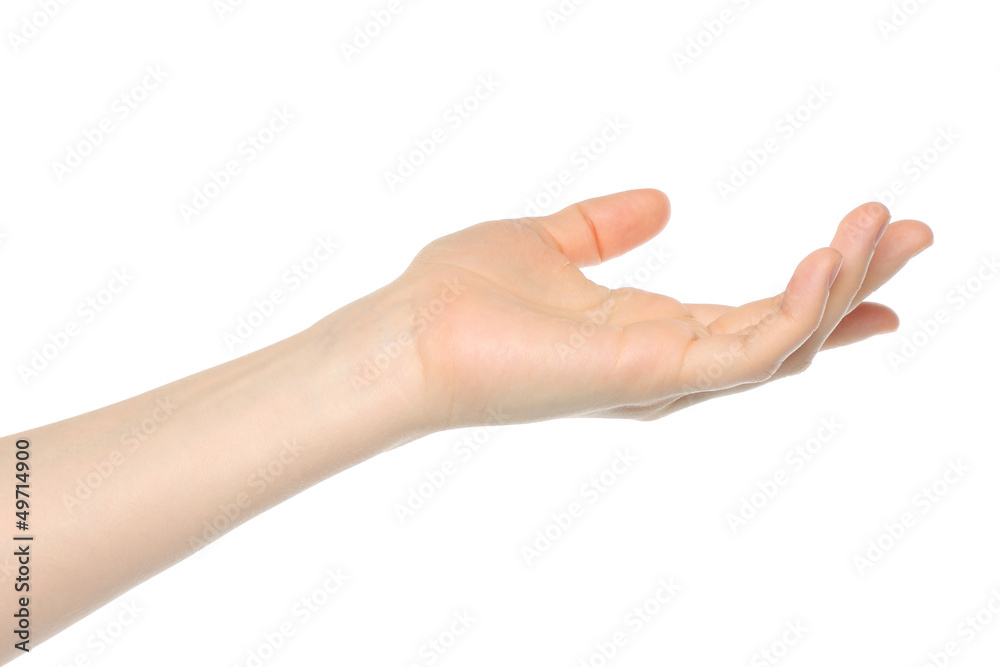 Open woman hand on white background . Open woman hand on white background .
