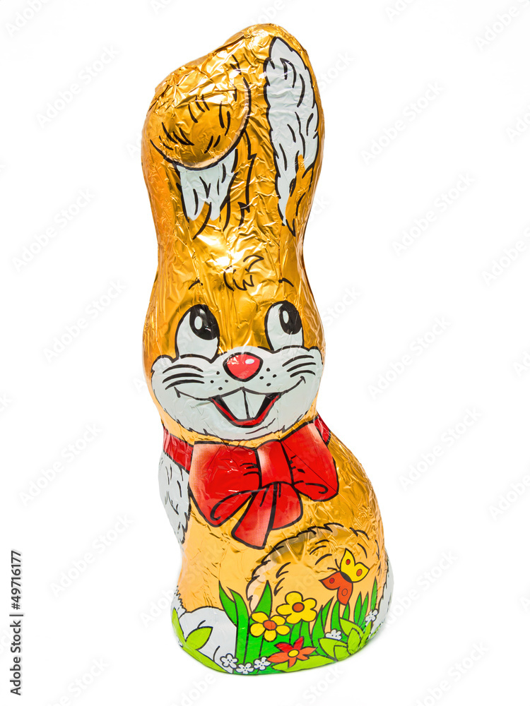 Fototapeta premium Schokohase