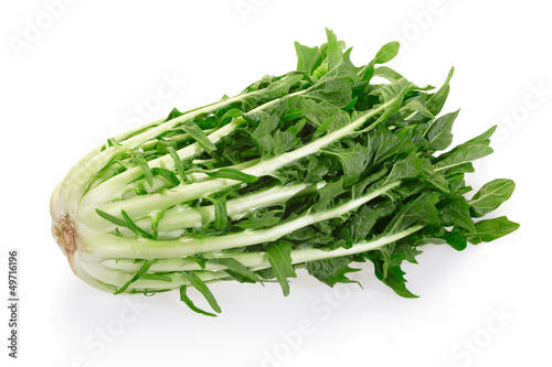 Chicory or catalogna isolated on white with clipping path photo