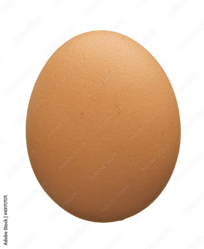 One brown egg isolated on white background One brown egg isolated on white background