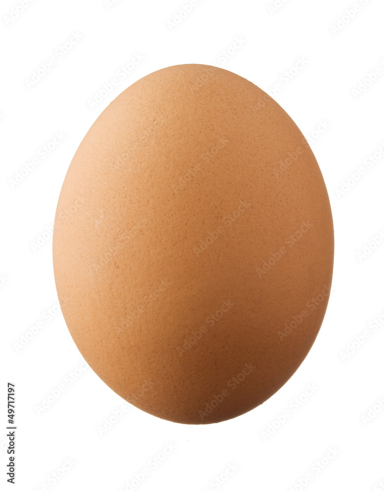 One brown egg isolated on white background One brown egg isolated on white background