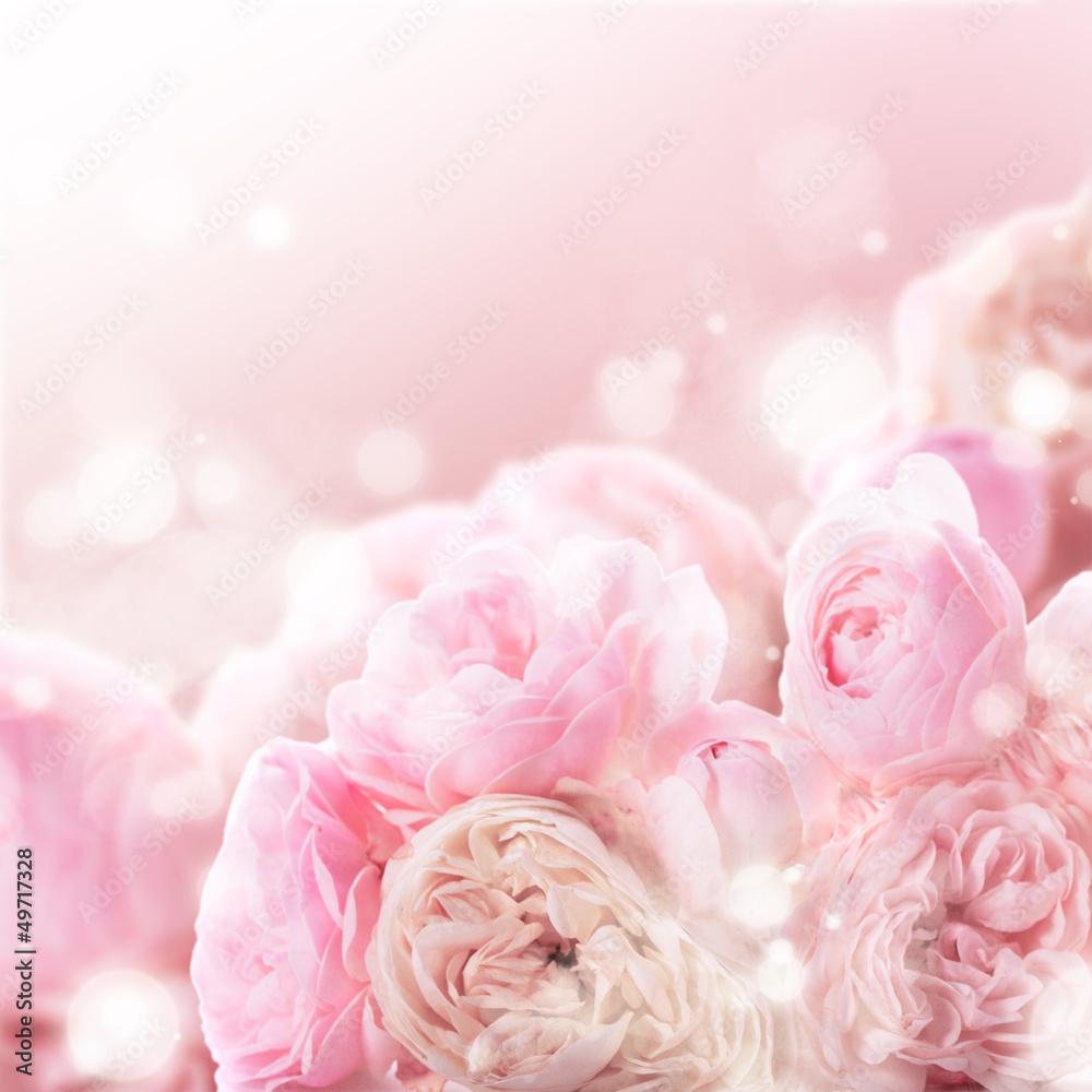 Naklejka premium Pink roses bunch
