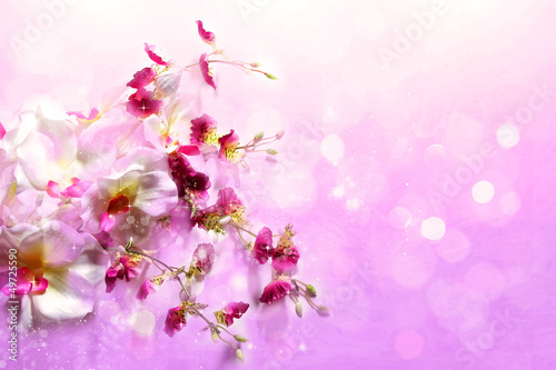 Bouquet of charming flowers on a soft lilac background