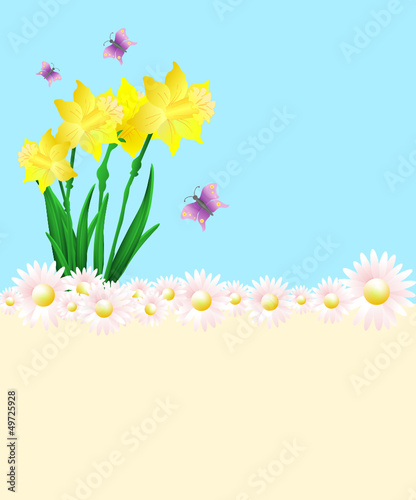 Bunter Hintergrund mit Gänseblümchen und Osterglocken