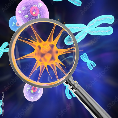 Buscar Virus