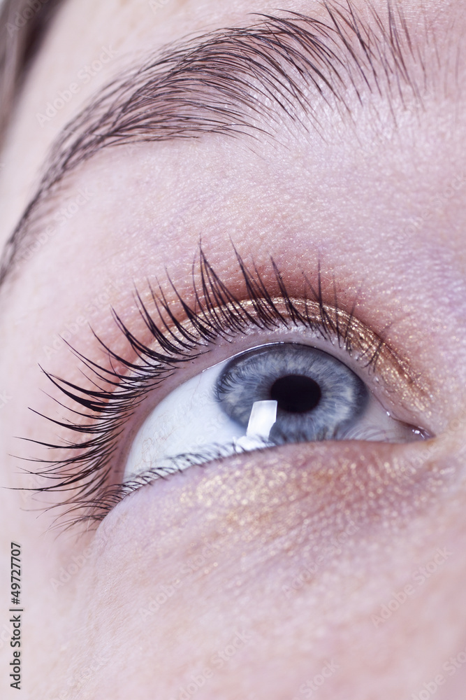 Obraz premium Frauenauge