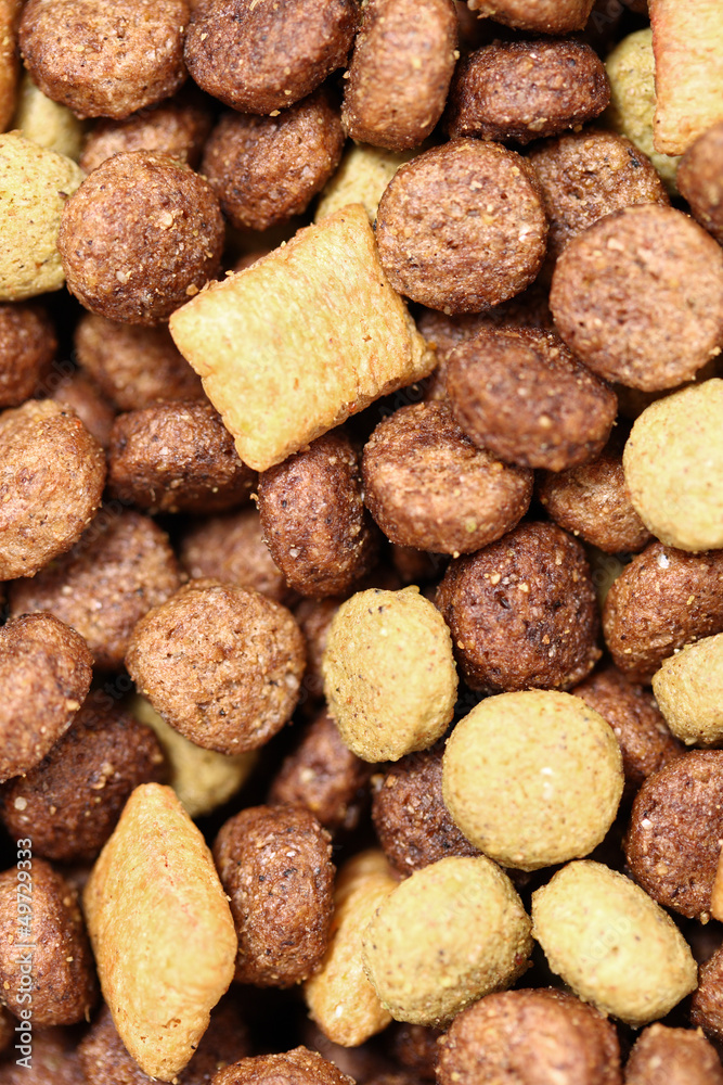 Dog food close-up (Texture) Dog food close-up (Texture)