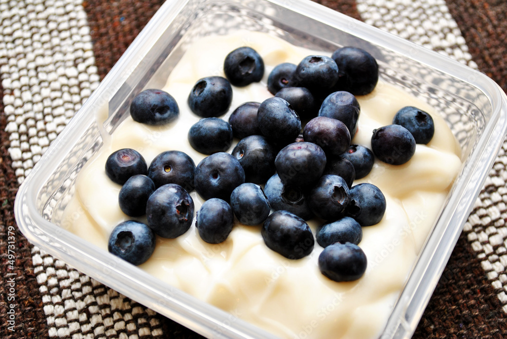 Yogurt and Blueberries in a Storage Container Yogurt and Blueberries in a Storage Container