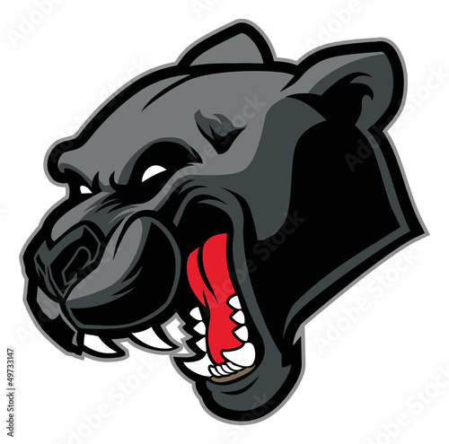 black panther mascot
