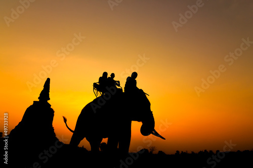 silhouette of elephants in Ayutthaya thailand.