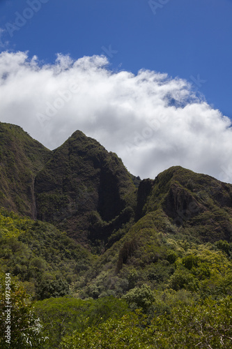 Lush green tropical mountains of Maui (vertical)