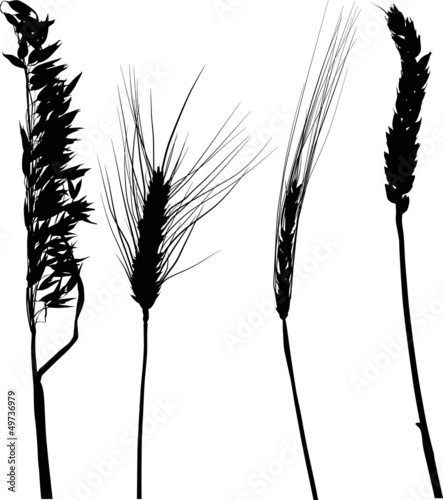 four black cereals silhouettes on white