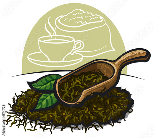 Dry green tea leaves