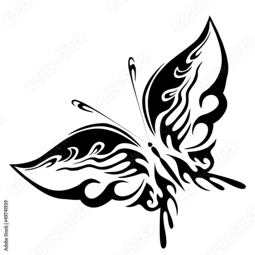 Photography Vector illustration - black butterfly on a white background
