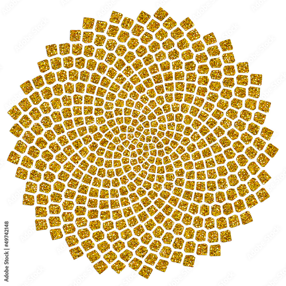 Fototapeta premium Słoneczniki - nasiona - spirala Fibonacciego - złoty stosunek