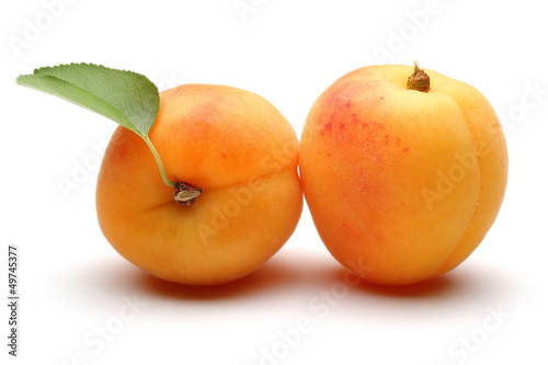 Two fresh apricot fruits