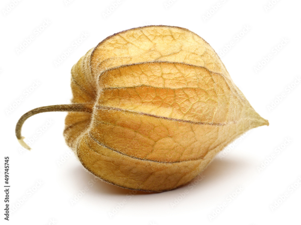 Physalis fruit Physalis fruit