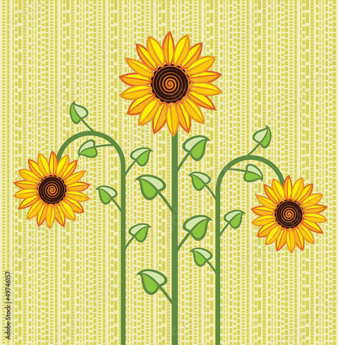 Fototapeta Naklejka Na Ścianę i Meble -  vector sunflower background