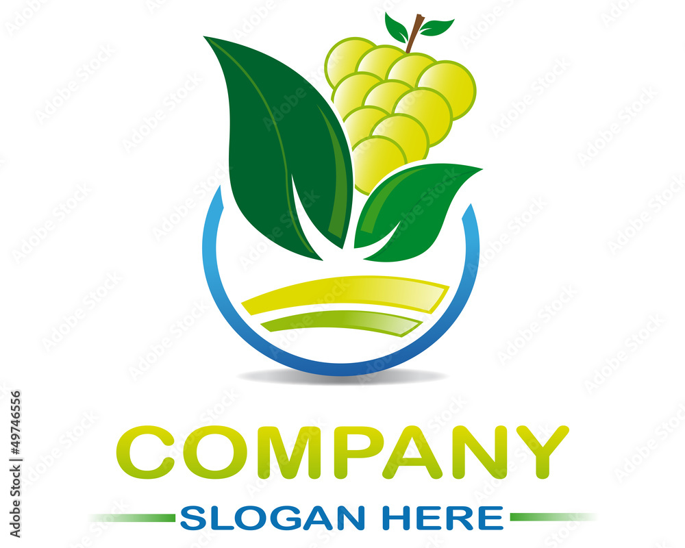 Fototapeta premium Project grapes 2