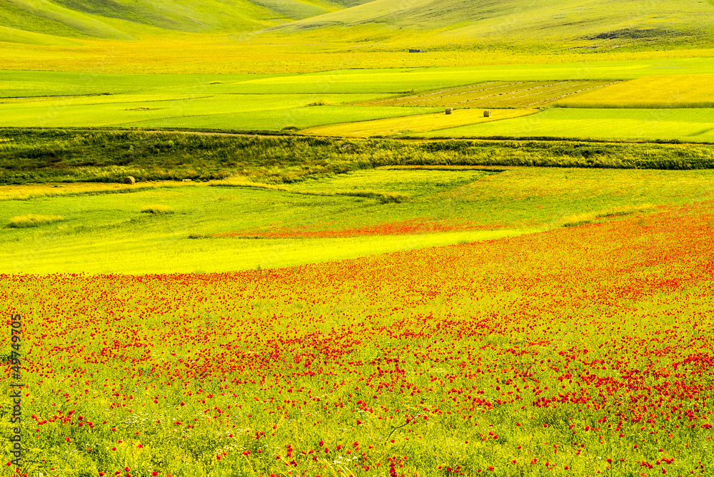 Landscape of Piano di Castelluccio Landscape of Piano di Castelluccio