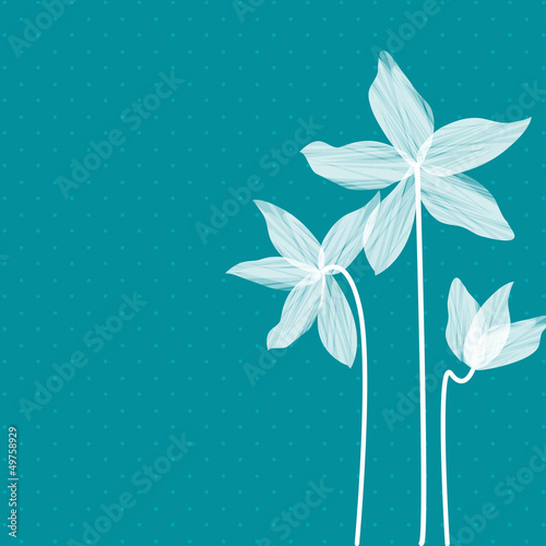 Stylized white Lillies photo