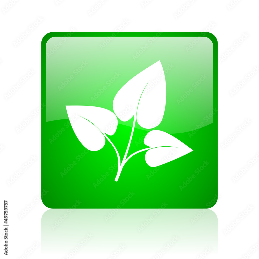 eco green square web icon on white background eco green square web icon on white background
