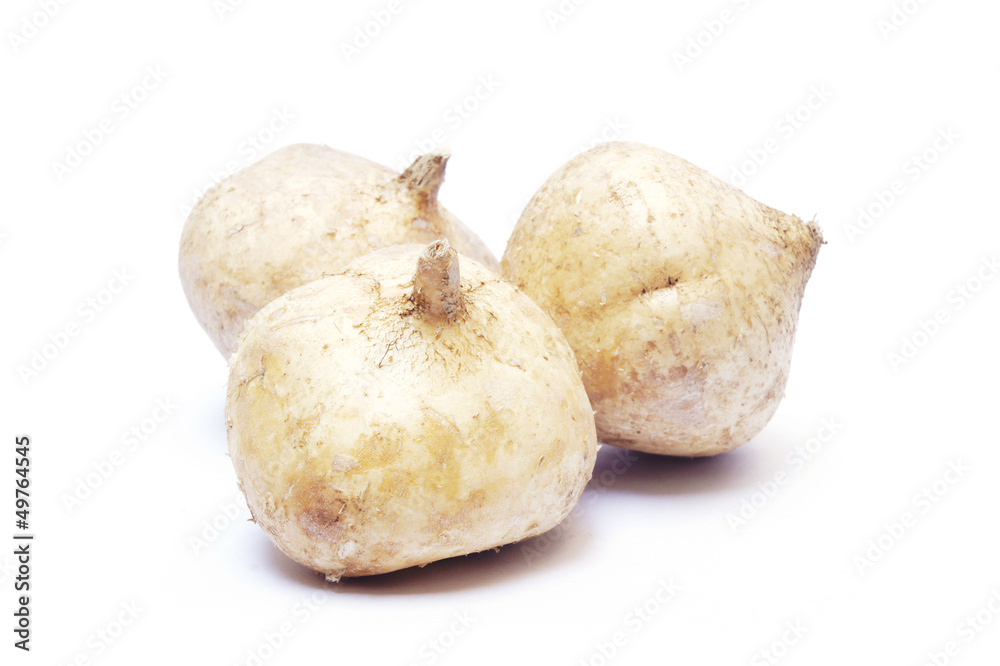 jicama on white background jicama on white background