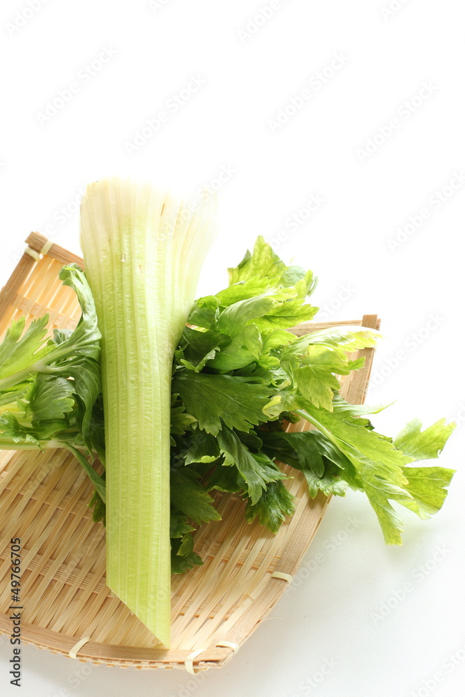 freshness celery from Japan on white background freshness celery from Japan on white background