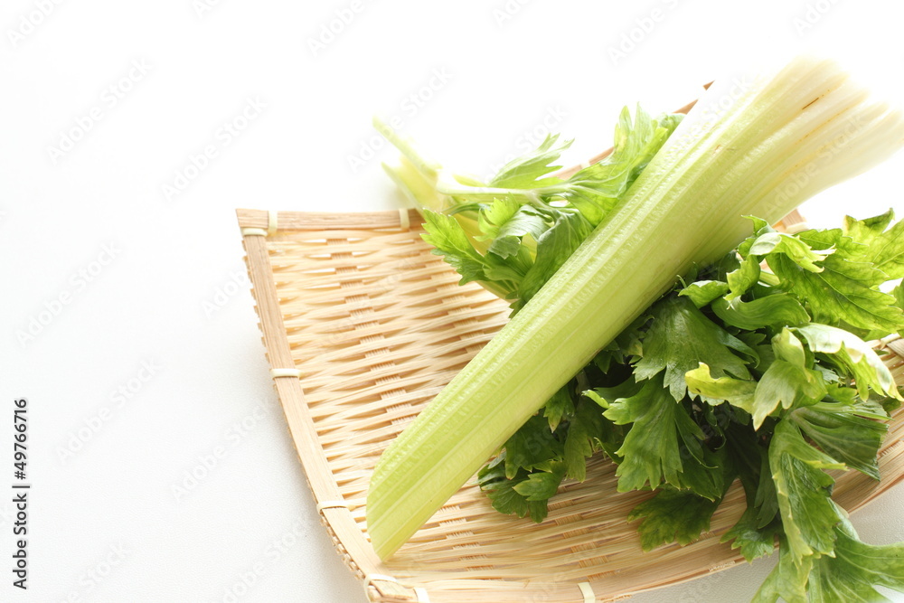 freshness celery from Japan on white background freshness celery from Japan on white background