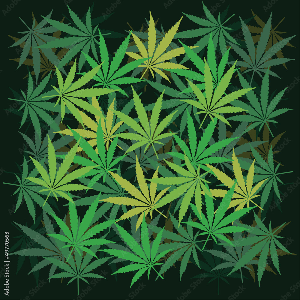 Plenty of cannabis leafs - illustration