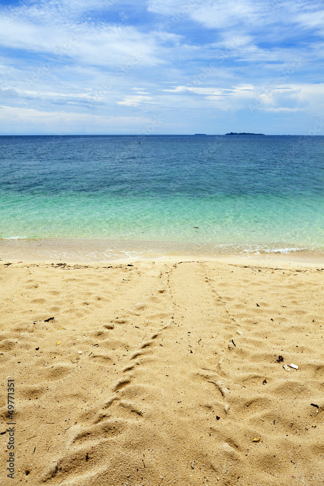 Turtle tracks leading into the ocean. Turtle tracks leading into the ocean.