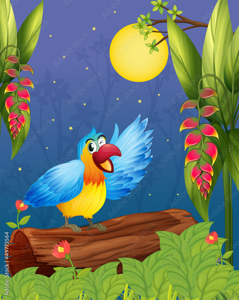 A colorful parrot in the middle of the woods