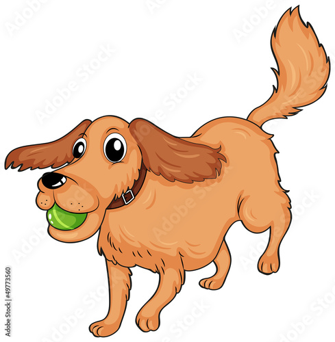 A dog playing with the ball