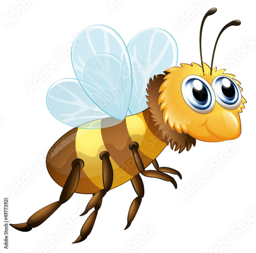 A six-legged insect