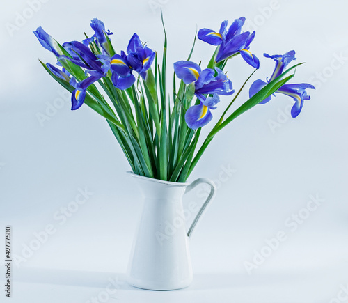 Irises in a Vase