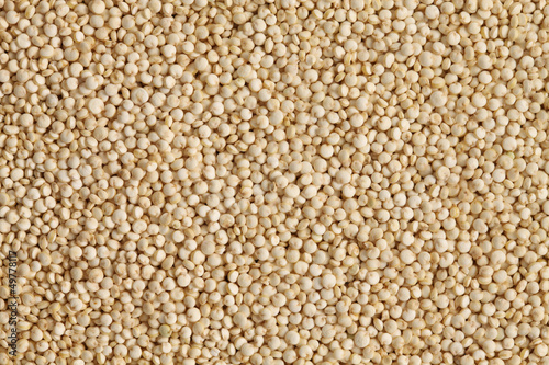 uncooked quinoa