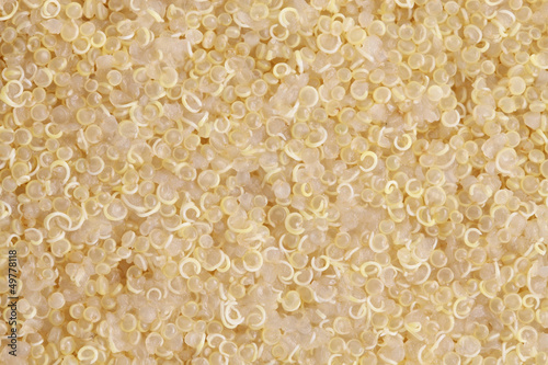 Fotografi cooked quinoa