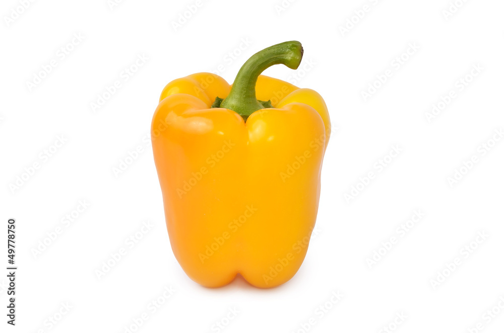 Fresh colored capsicum isolated on white background Fresh colored capsicum isolated on white background
