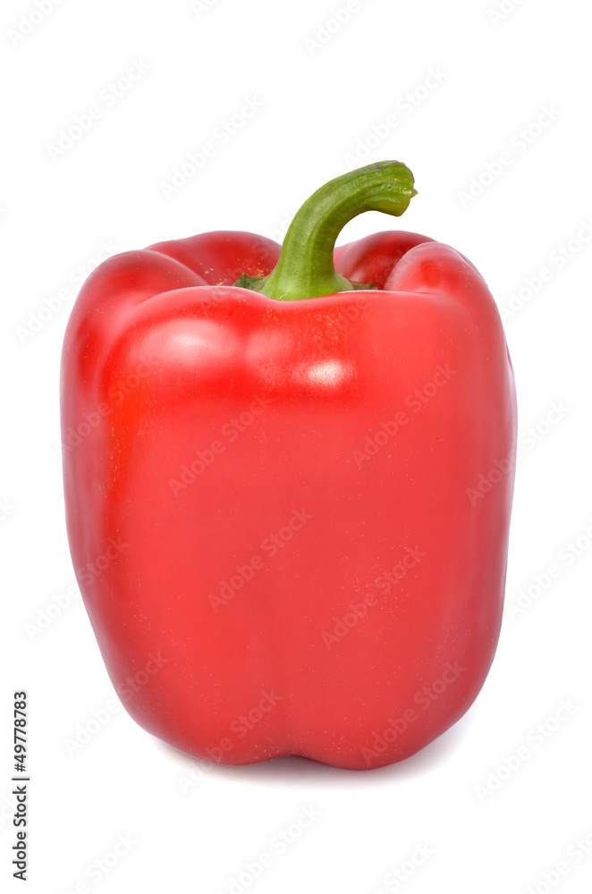 Fresh colored capsicum isolated on white background Fresh colored capsicum isolated on white background