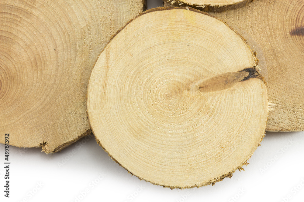 close-up wooden cut texture close-up wooden cut texture