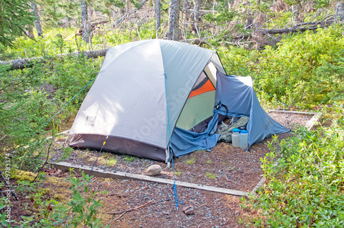 Wilderness Campsite in the Early Morning